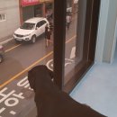 호텔스컴도그 화명점 이미지