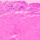 서울아산비뇨의학과의원 이미지