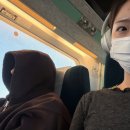 노성홍가네 | 2026년 1월