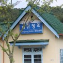 김유정역 이미지