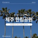 제주도 아기랑 서쪽 갈만한 곳 한림공원 나들이