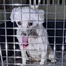 인스빌목포 이미지