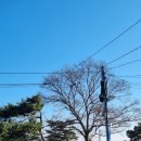 대지-걷기 이미지