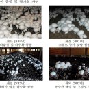 부여원예영농조합 이미지