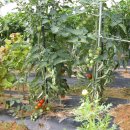 희망찬농장 이미지