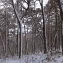 [광주 광산구]광주여대~동자봉(154m)~어등산 석봉(338m)~등용정~광주여대 다녀오기(2021/1/7/목 오후) 이미지