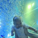 다누리센터 아쿠아리움 | 단양 아이와 가볼만한 곳 추천 ㅣ 다누리 아쿠아리움 솔직 후기 (주차·입장료·관람팁)