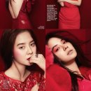 코리아레드파인 이미지