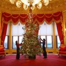 무지개언덕 이미지