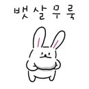 제이제이엠 네이버블로그