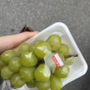 새럭키약국 네이버블로그