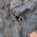 유정사우나 이미지