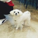 모찌네호캉스 이미지