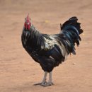 약손청담한의원 이미지