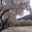 덕암초등학교 이미지