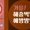 큰솔곱창 이미지