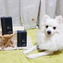 한국사료주식회사 이미지