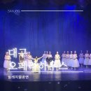 대구오페라하우스 | 대구오페라하우스 지젤 발레 후기 1층 B구역 17열 시야