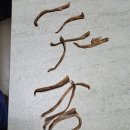 폴리파크 상계점 이미지