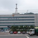 덕진-80 이미지