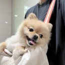 비에이치씨(BHC)속초청초점 | 📆25년 08월 일기 / 08.11~08.20