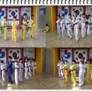 K 용인대태권도 이미지