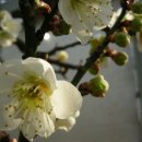 우정테크 이미지