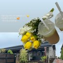 제주야놀자 민박 이미지