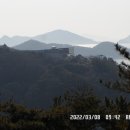 비진도수산 이미지