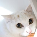 루시호텔 이미지