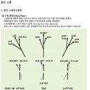 춘장대 골프 이미지