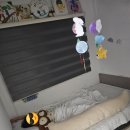 구주슈퍼 | 코르시카나 슈퍼싱글침대 한 달 동안 사용해 본 후기