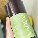 세르노 | 탈모 완화 샴푸 추천 지성 두피 건조 각질 샴푸 바디브 약산성 샴푸