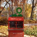 우면산3-21 이미지