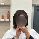 메르시 | [후기] 호수공원 미용실 | 헤어 클리닉 후기 | 메르시엠헤어