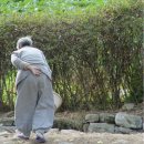 등너머경로당 이미지