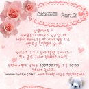 아이포토 Daum카페