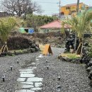 스테이레올 이미지