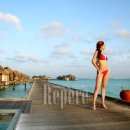 ㈜천도관광 이미지