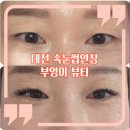 부엉이 눈썹 | 대전 탄방동 속눈썹연장 부엉이뷰티 재방문 후기