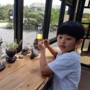 제주반디하우스 이미지