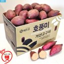 거산농장 이미지