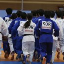 용인대 대한 유도체육관 이미지