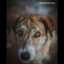 자이부자공인중개사사무소 이미지