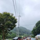 용소골박가네