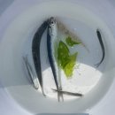 고망2 | 두번째 구멍치기(고망치기) 후기