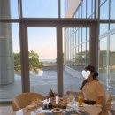 스위트초이스 | [그랜드조선 제주] 힐 스위트 애프터눈티 + 그랑초이스 (그랑제이라운지)