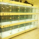 민들레애견 이미지