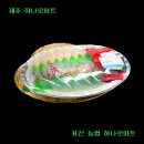 삼칠농협하나로마트 | 표선 농협 하나로마트 회 포장 후기해비치호텔에서 먹기 좋은 장보기