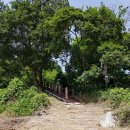 창원 주의수 묘 이미지